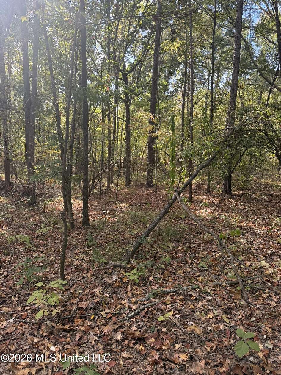 67 Acres of Recreational & Residential Land for Sale in Carrollton, Mississippi