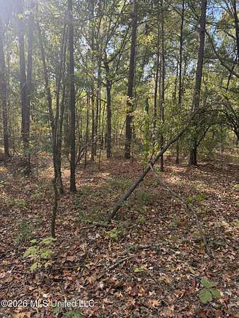 67 Acres of Recreational & Residential Land for Sale in Carrollton, Mississippi