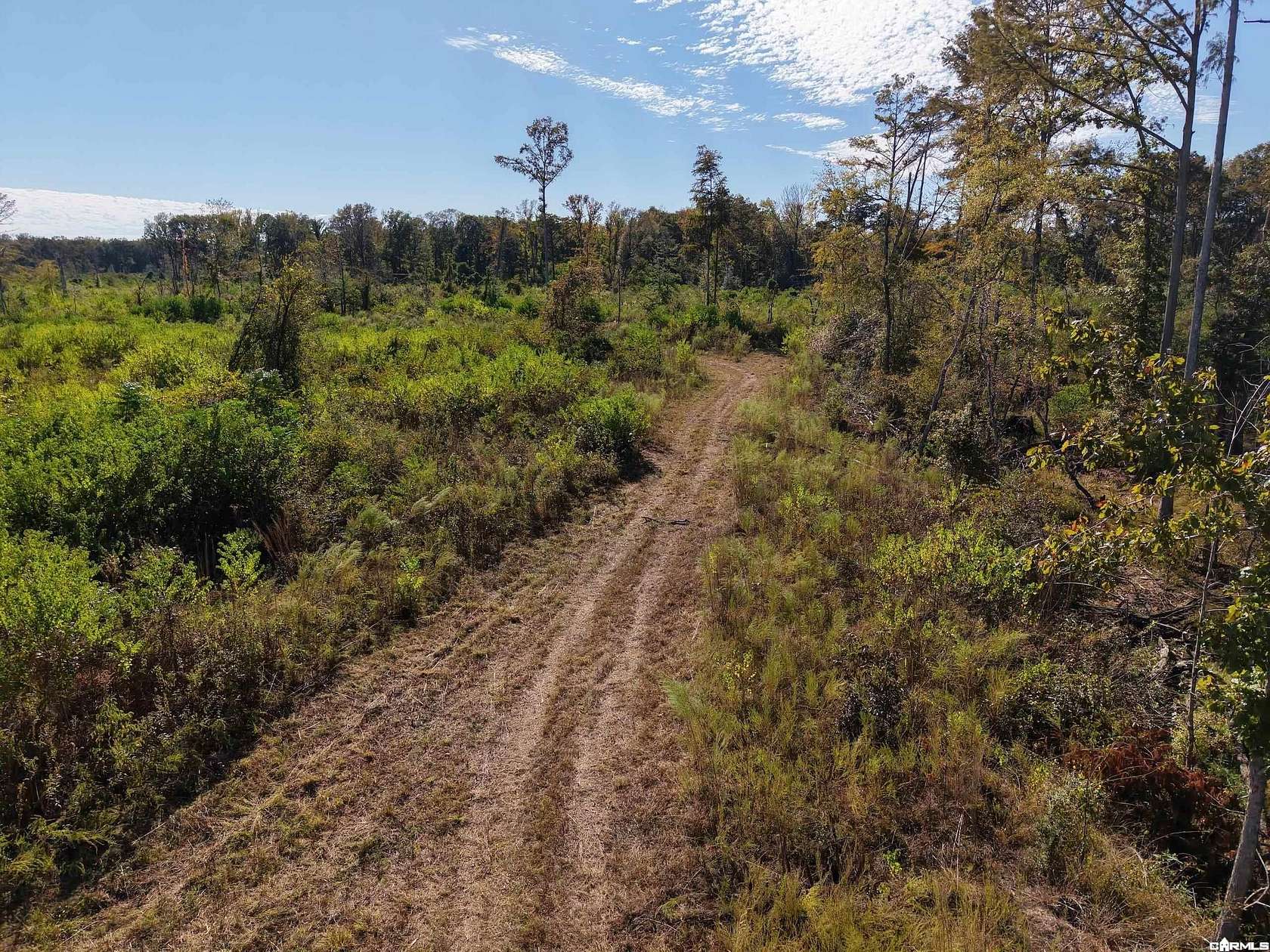 120 Acres of Recreational Land for Sale in Hermitage, Arkansas