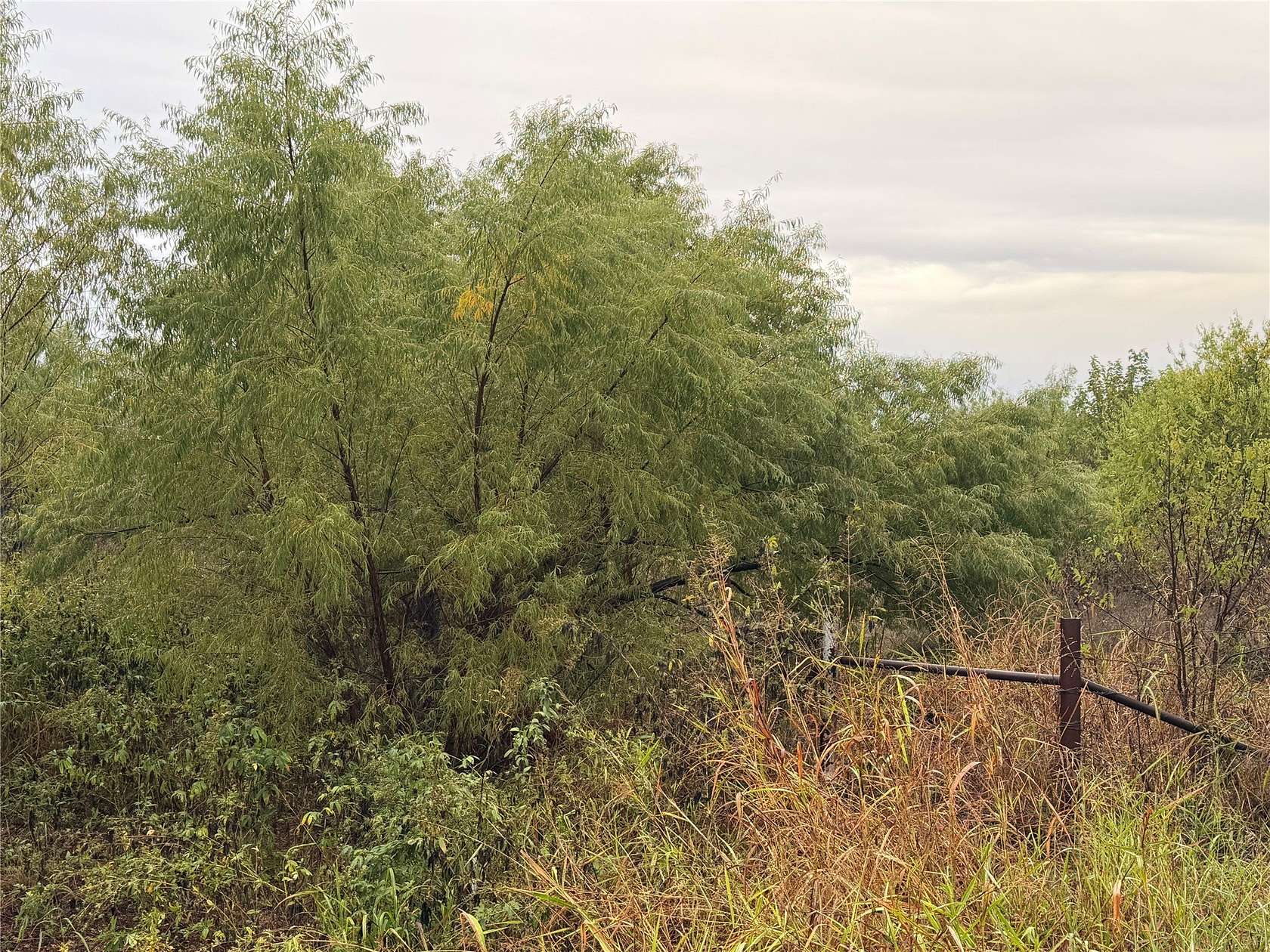 3 Acres of Land for Sale in Tuscola, Texas