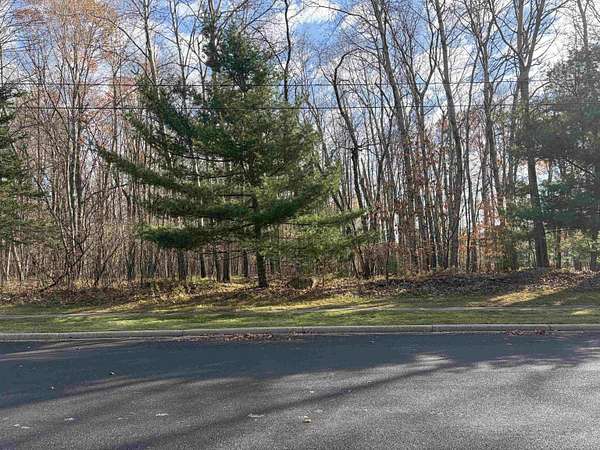 0.31 Acres of Residential Land for Sale in Rothschild, Wisconsin