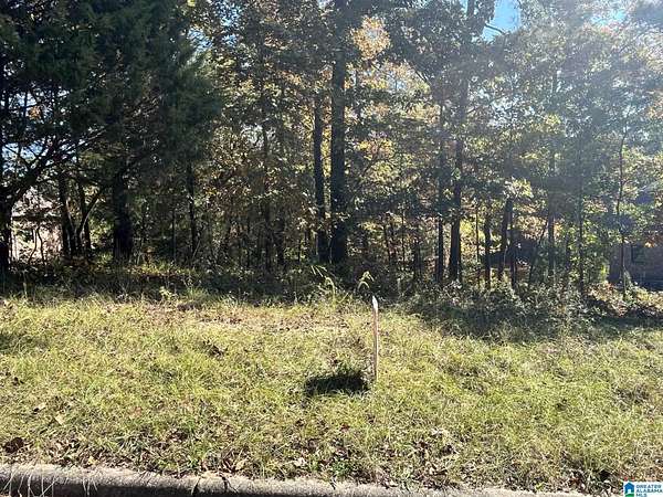 1 Acre of Residential Land for Sale in Alabaster, Alabama