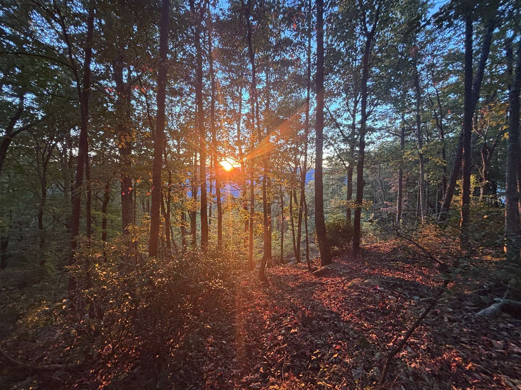 11 Acres of Land for Sale in Jasper, Tennessee