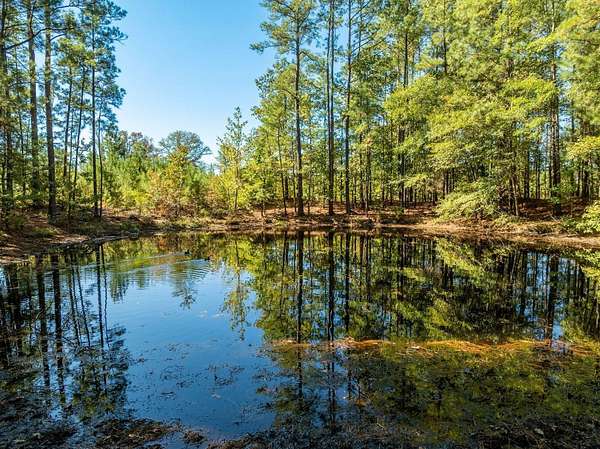 117 Acres of Recreational & Residential Land for Sale in Sparkman, Arkansas