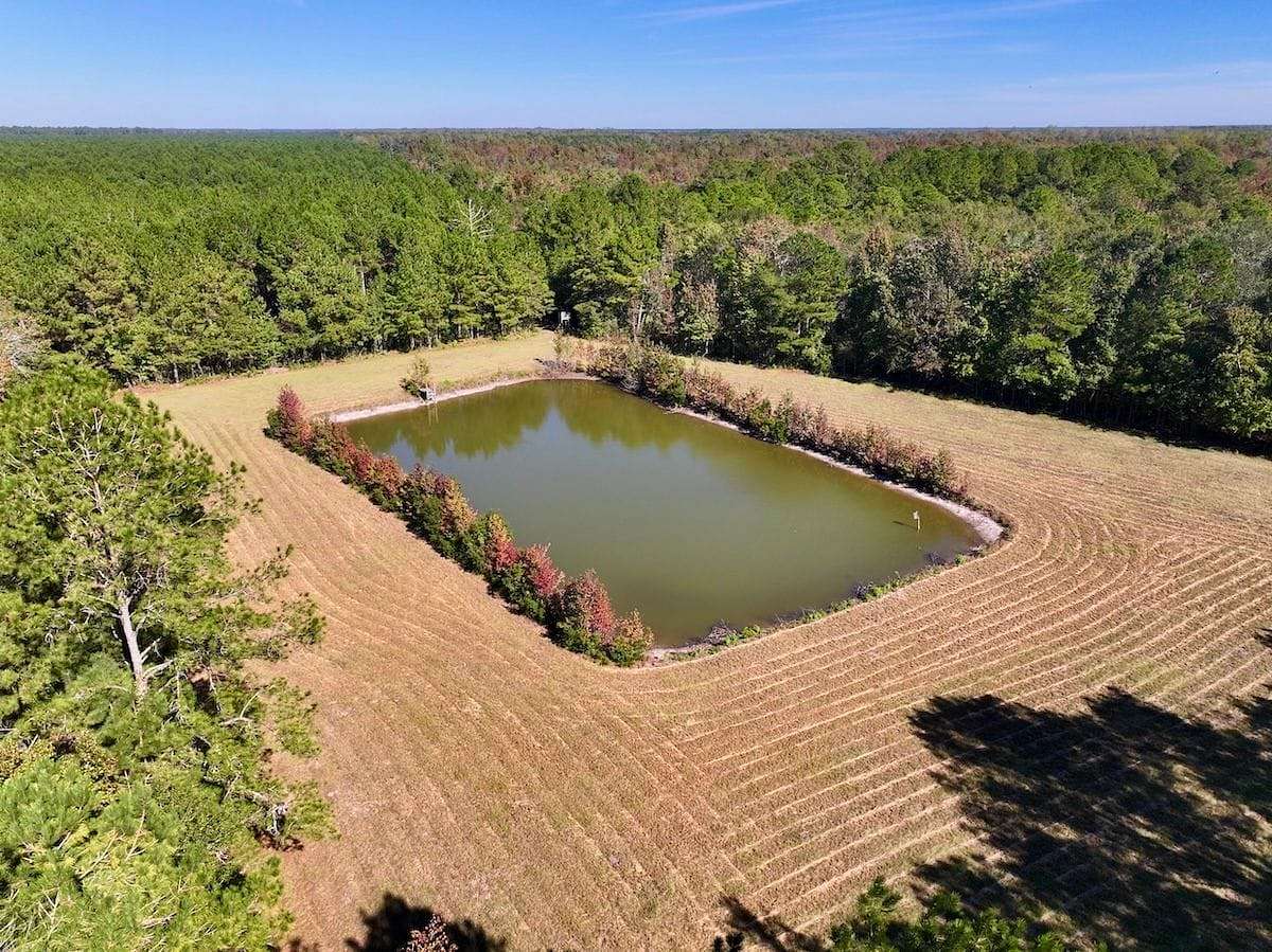 117 Acres of Recreational Land for Sale in Maysville, North Carolina