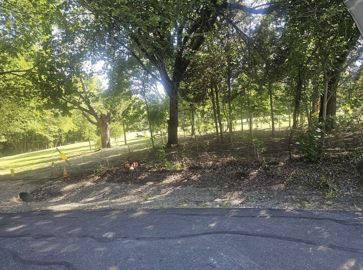 0.18 Acres of Residential Land for Sale in Payne Springs, Texas