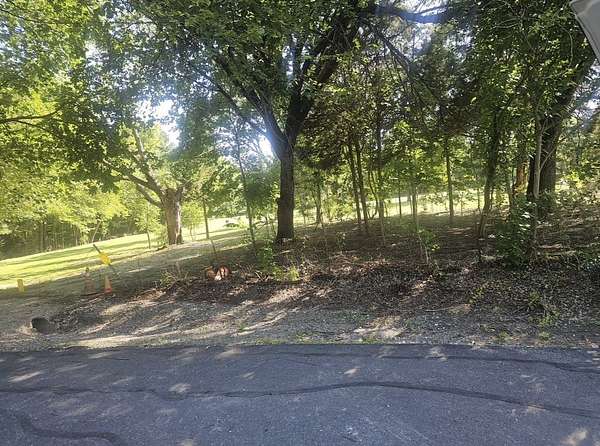 0.18 Acres of Residential Land for Sale in Payne Springs, Texas