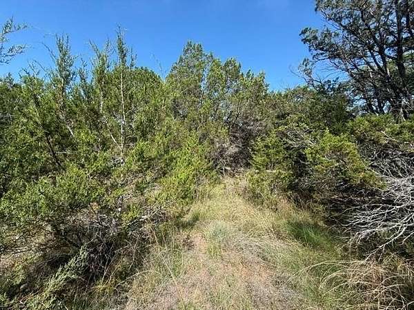 0.25 Acres of Residential Land for Sale in Wimberley, Texas