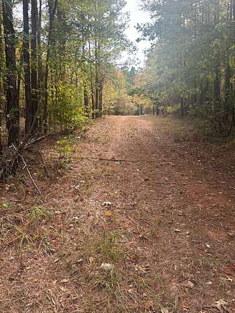 1.28 Acres of Residential Land for Sale in Lewisville, Arkansas