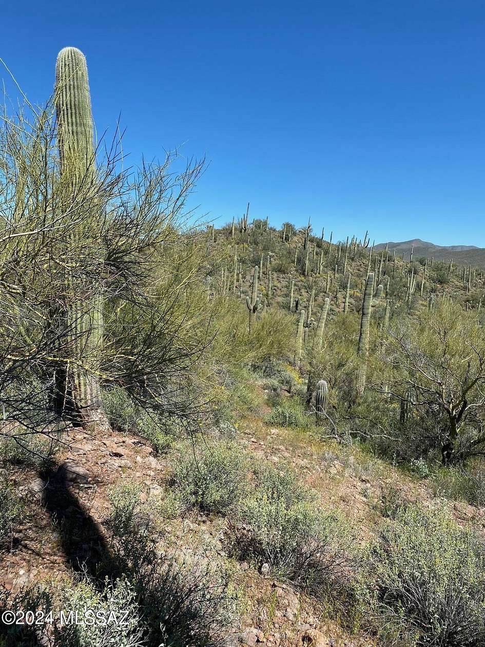 0.24 Acres of Land for Sale in Marana, Arizona