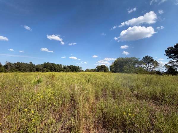23 Acres of Land with Home for Sale in Naples, Texas