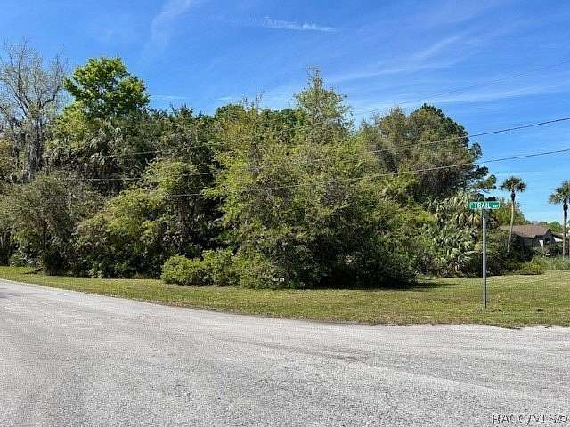 0.29 Acres of Residential Land for Sale in Homosassa, Florida