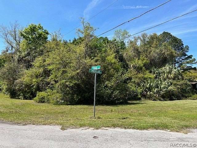 0.29 Acres of Residential Land for Sale in Homosassa, Florida