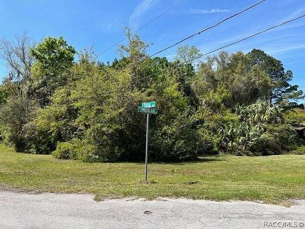 0.29 Acres of Residential Land for Sale in Homosassa, Florida