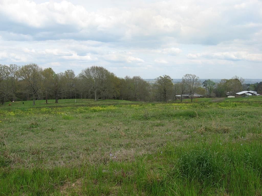 1.7 Acres of Residential Land for Sale in Ellisville, Mississippi