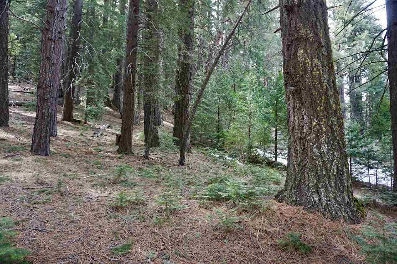 0.35 Acres of Residential Land for Sale in Blairsden, California