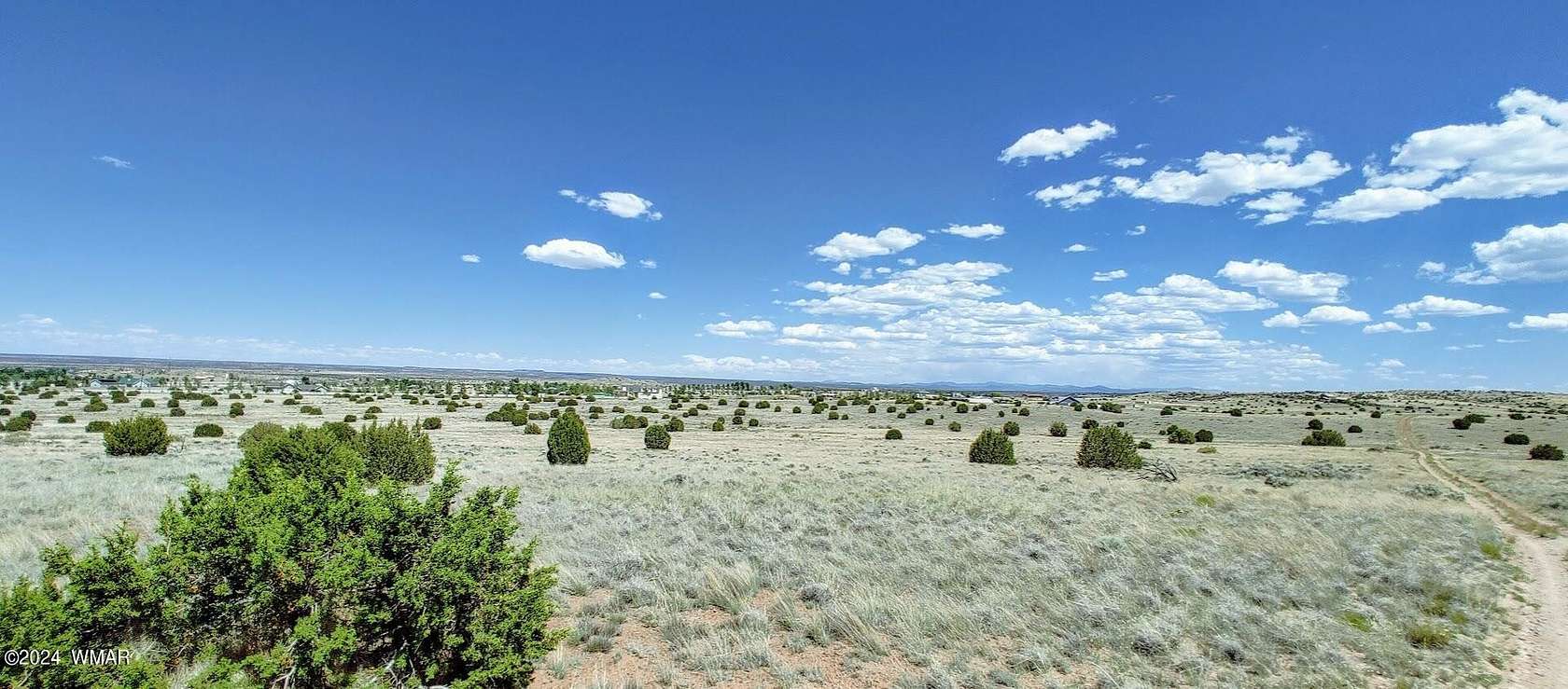 254 Acres of Agricultural Land for Sale in Taylor, Arizona
