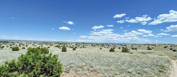 253.9 Acres of Agricultural Land for Sale in Taylor, Arizona