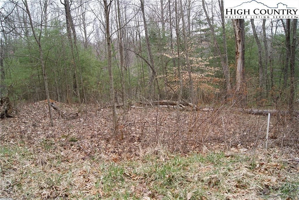 1.7 Acres of Residential Land for Sale in Sparta, North Carolina