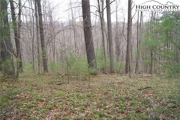 3.5 Acres of Residential Land for Sale in Sparta, North Carolina