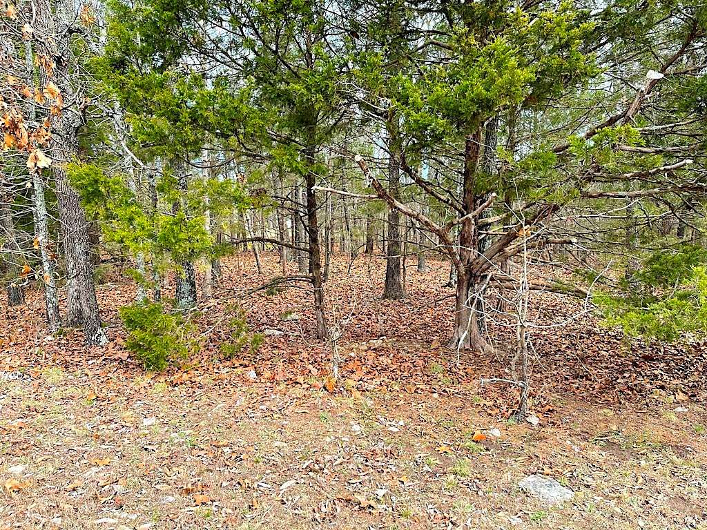 0.45 Acres of Residential Land for Sale in Horseshoe Bend, Arkansas