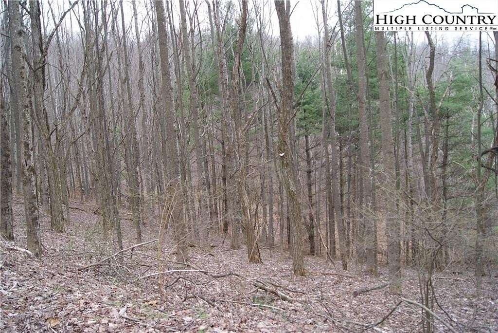 3 Acres of Residential Land for Sale in Sparta, North Carolina