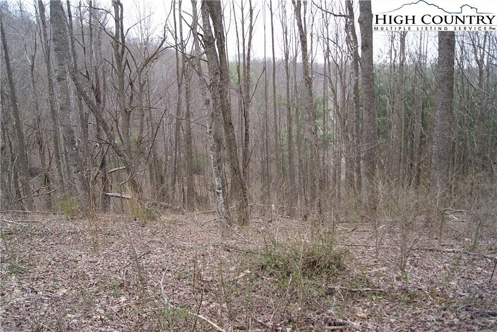 3.03 Acres of Residential Land for Sale in Sparta, North Carolina