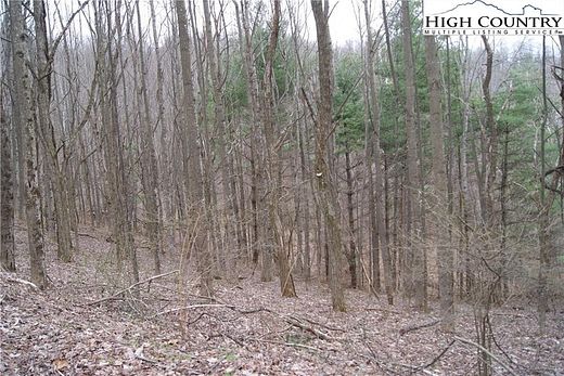 3 Acres of Residential Land for Sale in Sparta, North Carolina