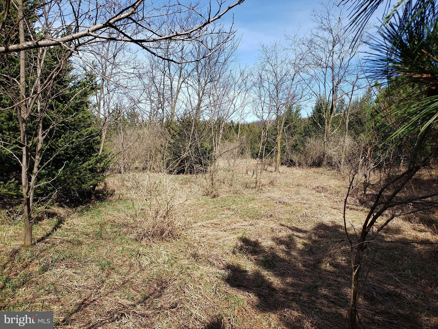 8.1 Acres of Residential Land for Sale in Frostburg, Maryland
