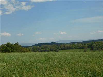 15 Acres of Recreational Land for Sale in Bridgewater, Virginia