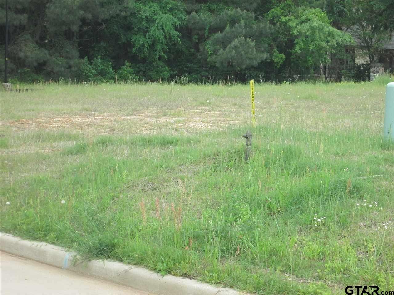 0.37 Acres of Residential Land for Sale in Tyler, Texas