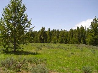 6 Acres of Residential Land for Sale in Island Park, Idaho