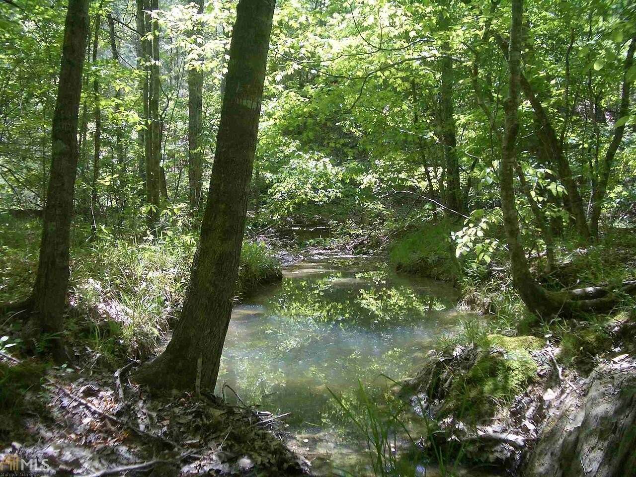 249 Acres of Recreational Land for Sale in Ranger, Georgia