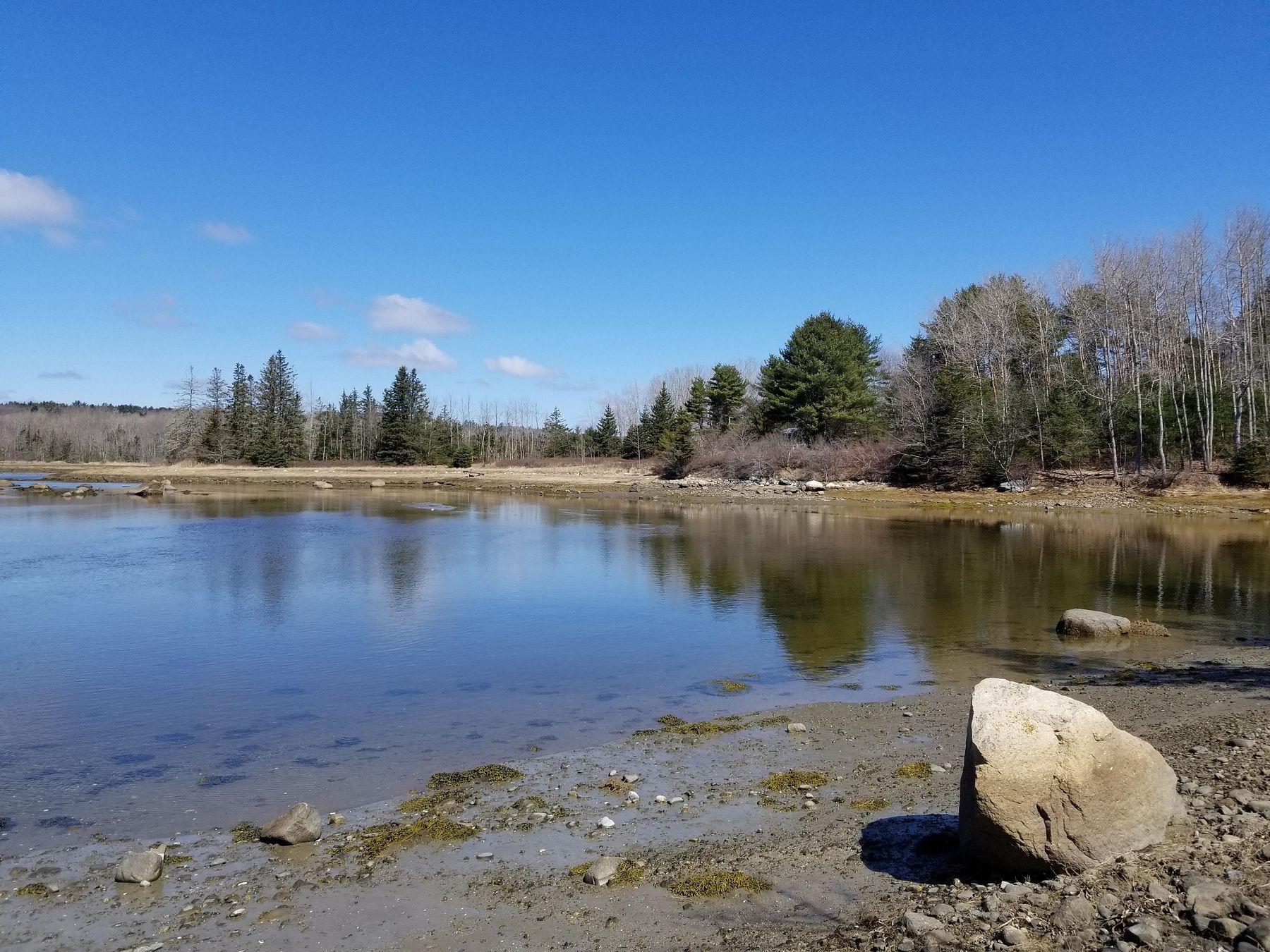 2.6 Acres of Residential Land for Sale in Brooklin, Maine