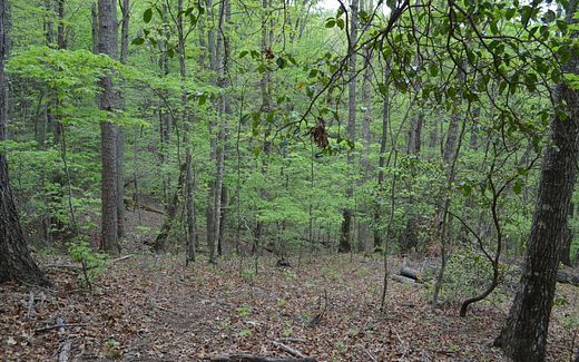 4.1 Acres of Land for Sale in Brasstown, North Carolina