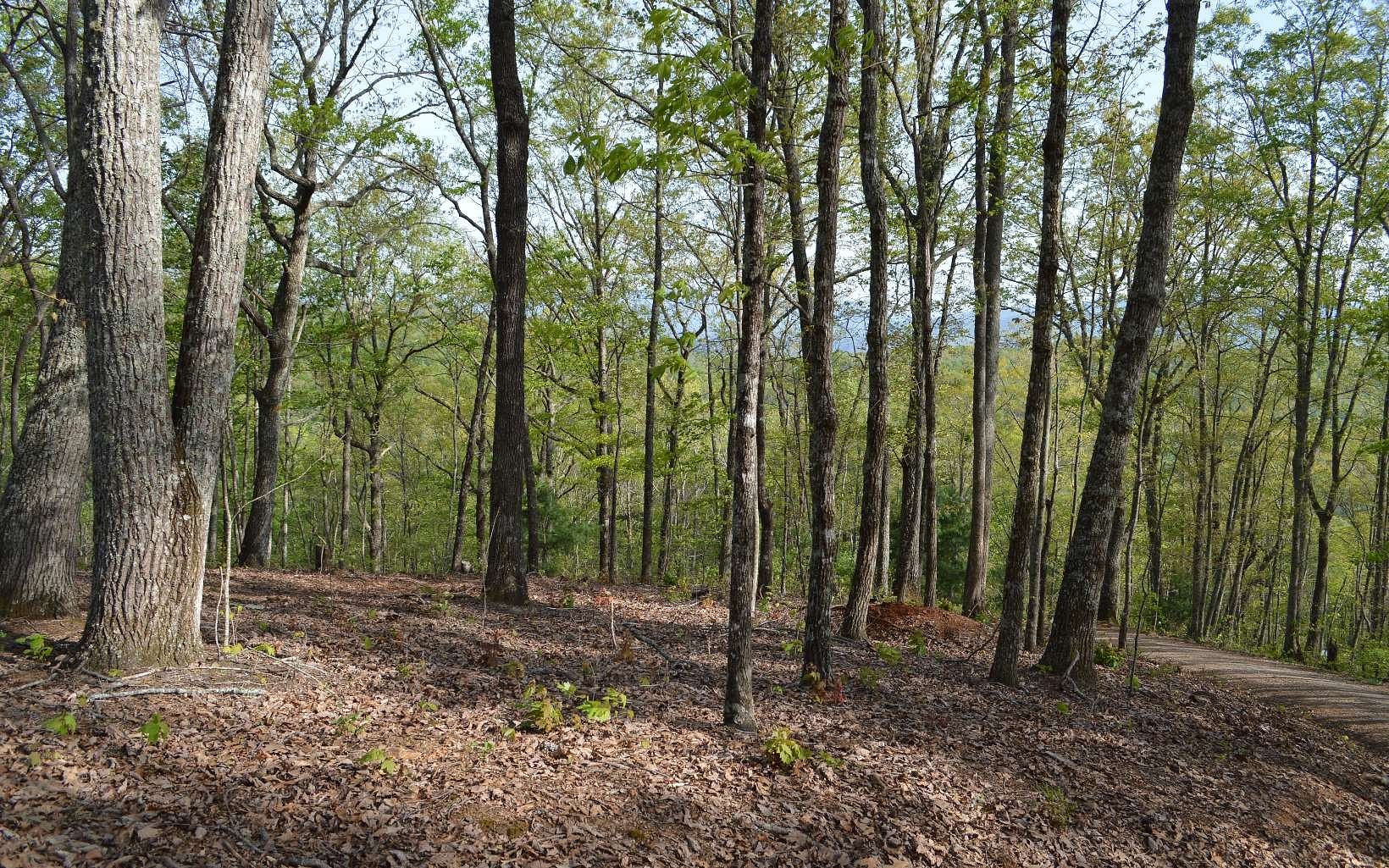 2.4 Acres of Land for Sale in Brasstown, North Carolina