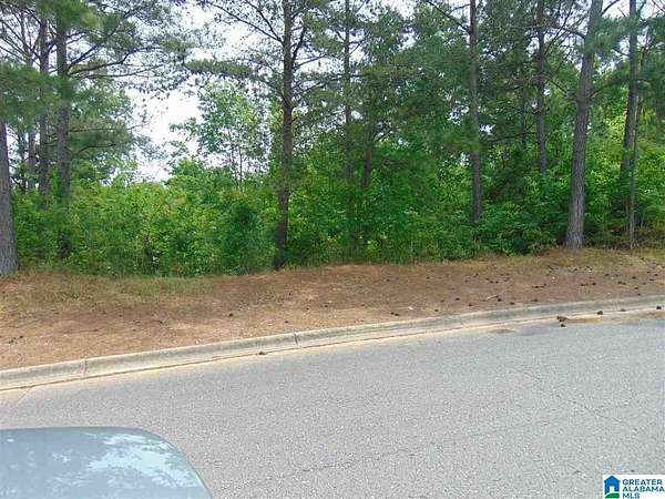 0.79 Acres of Land for Sale in Birmingham, Alabama