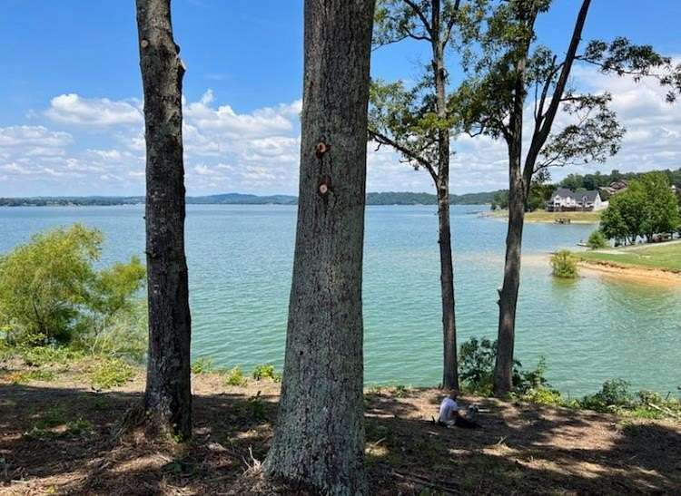 0.61 Acres of Residential Land for Sale in Baneberry, Tennessee