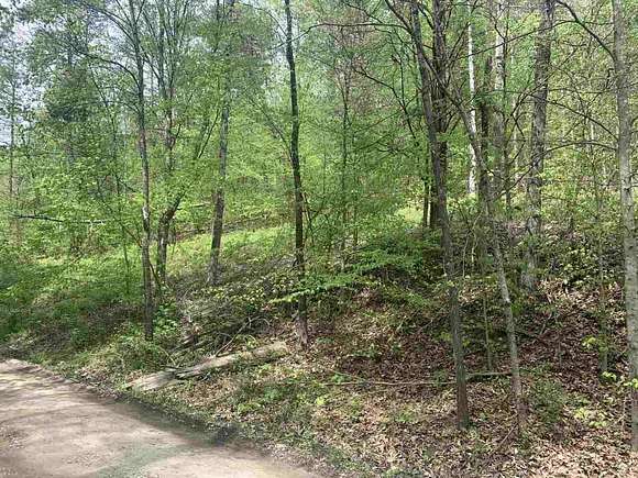 2.5 Acres of Residential Land for Sale in Fort Gay, West Virginia
