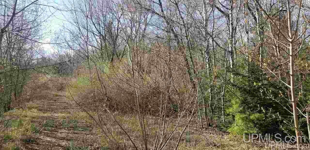 6.2 Acres of Residential Land for Sale in Ontonagon, Michigan