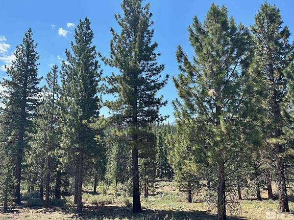2.19 Acres of Residential Land for Sale in Markleeville, California