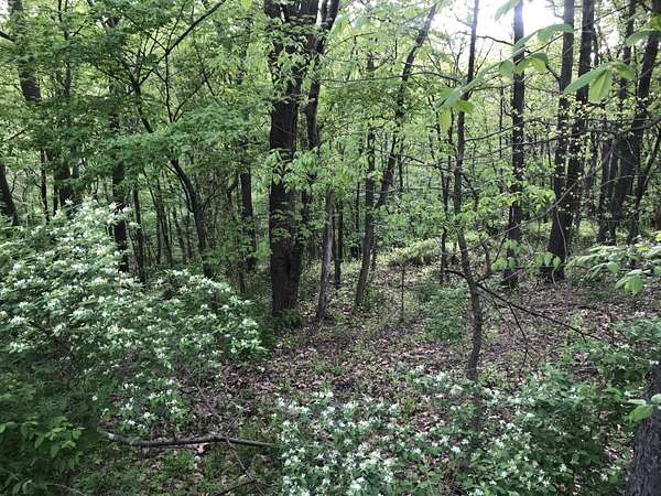1 Acre of Residential Land for Sale in Northumberland, Pennsylvania