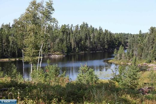 38.75 Acres Of Recreational Land With Home For Sale In Ely, Minnesota 