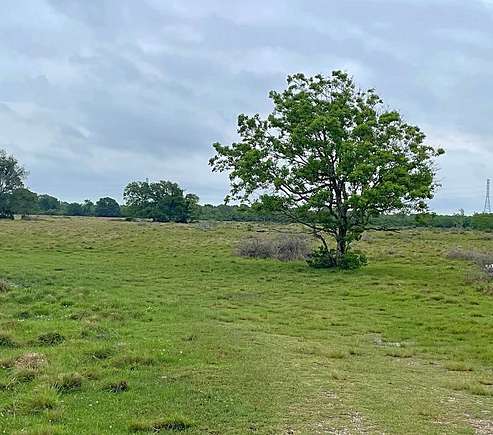 20 Acres of Agricultural Land for Sale in Alvin, Texas