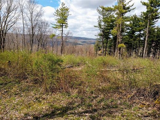 23.6 Acres of Recreational Land for Sale in Naples, New York