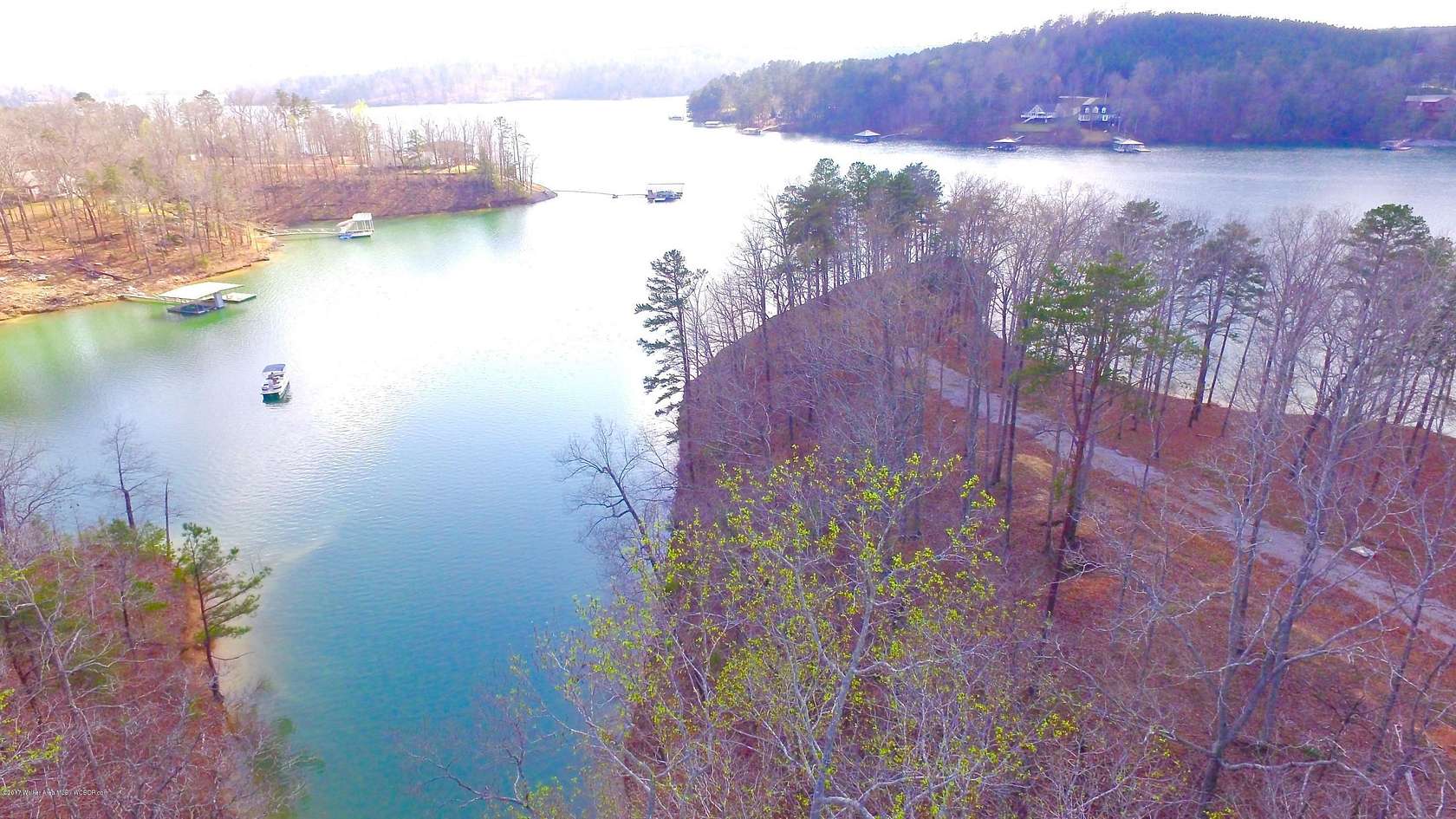 Land for Sale in Arley, Alabama