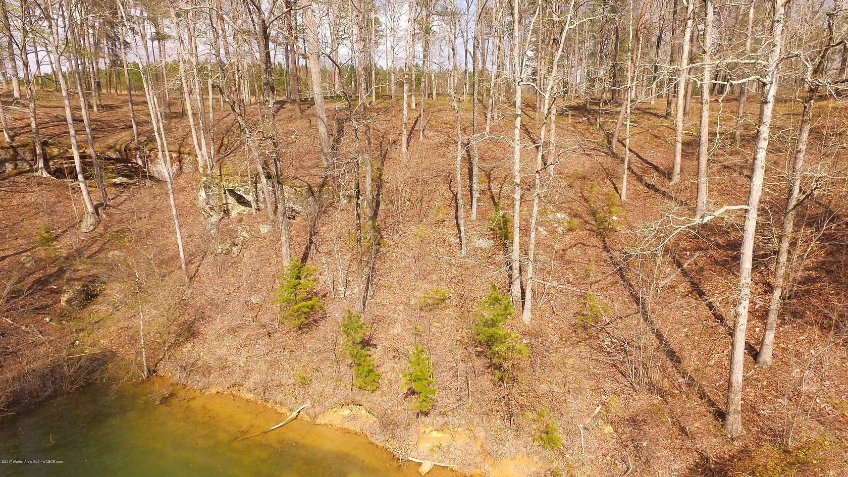 1 Acre of Land for Sale in Arley, Alabama