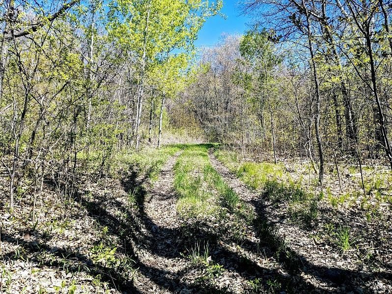 32 Acres of Land for Sale in Cameron, Wisconsin