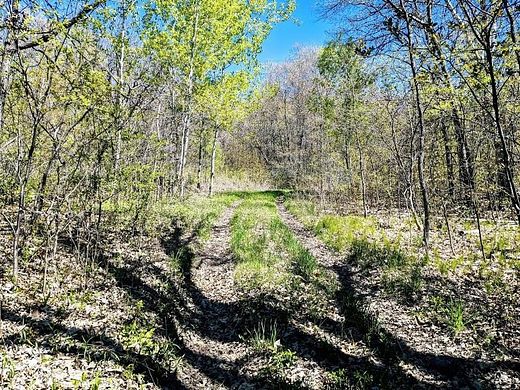 32 Acres of Land for Sale in Cameron, Wisconsin