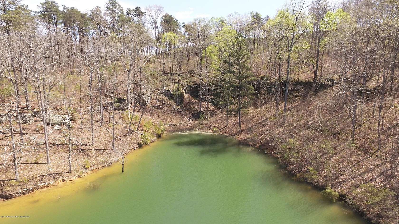Land for Sale in Arley, Alabama